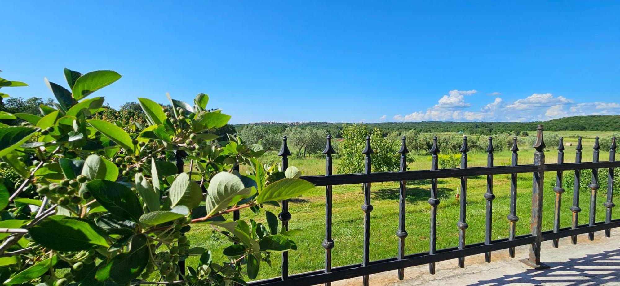 Apartments Vesna With Pool - New! Sveti Lovreč Pazenatički 외부 사진